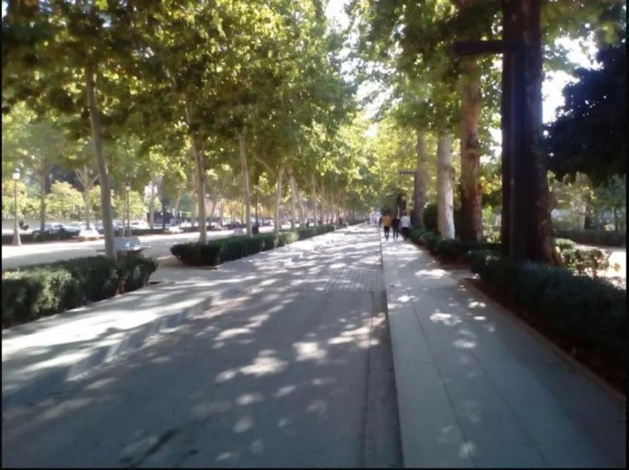 Appartamento Hogar Del Lirio Granada Esterno foto